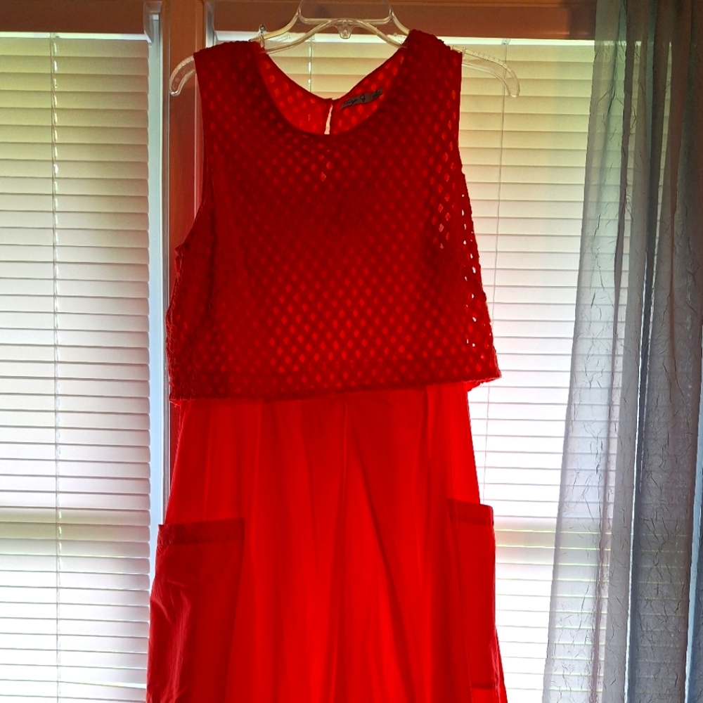 Eliza J Reddish OrangeSleeveless Dress with Textured Overlay Size 12